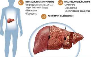 Давит печень