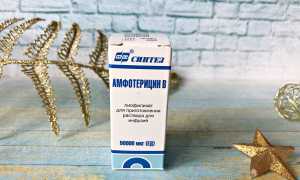 Все, что необходимо знать о медикаменте «Амфотерицин В» для здоровья