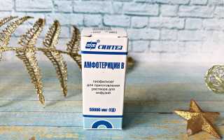 Все, что необходимо знать о медикаменте «Амфотерицин В» для здоровья