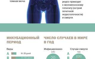 Гепатит виды