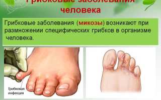 Чем полезен медицинский педикюр при грибке ногтей для здоровья