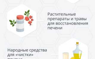 Восстановление печени народными средствами в домашних условиях