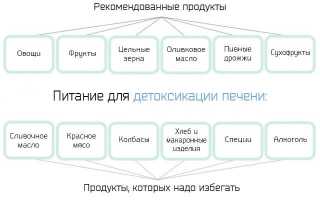 Детоксикация печени