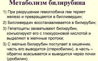 Прямой билирубин повышен причины