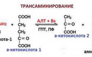 Высокий алт в крови причины