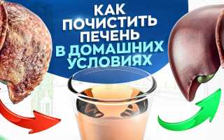 Как почистить печень в домашних условиях быстро