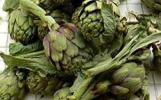 Трава артишок