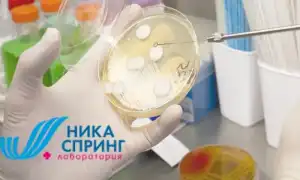 Определение кандидоза путем сдачи анализа мочи на лейкоциты в медицинских учреждениях