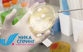 Определение кандидоза путем сдачи анализа мочи на лейкоциты в медицинских учреждениях