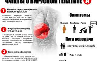 Заражение гепатитом а происходит чаще всего