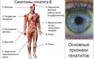 Гепатиты и их виды