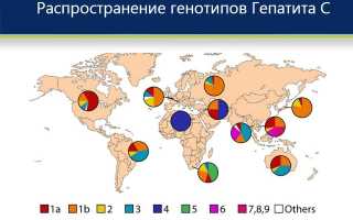 Гепатит с генотипы