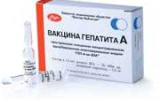 Прививка против гепатита а
