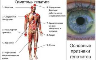 Вгв прививка