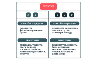 Берут ли в армию с гепатитом в
