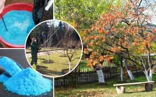 Как использовать медный купорос против грибка в садоводстве?