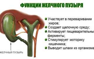 Для чего нужна желчь в организме человека
