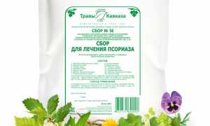 Какие травы нужно применять при лечении псориаза для улучшения состояния?