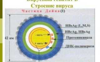 Как лечить гепатит б