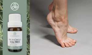 Как применять масло чайного дерева от грибка ногтей для здоровья