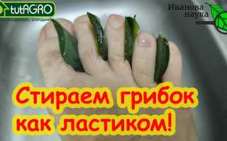 Как лечить народными средствами грибок между пальцами ног эффективно и безопасно
