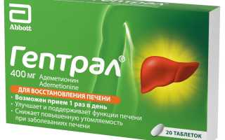 Как восстановить печень после антибиотиков