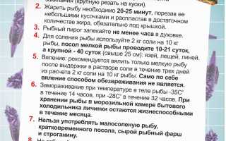 Как вылечить описторхоз в домашних условиях