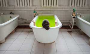 Эффективное применение лечебных ванн от псориаза для улучшения состояния кожи