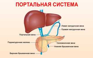 Портальная гипертензия что это