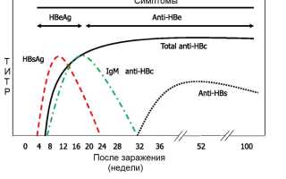Hbs антиген