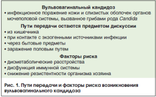 Причины появления дрожжевого грибка у женщин и способы его лечения: важные аспекты и рекомендации