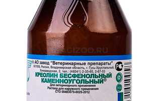 Помогает ли ветеринарное средство Креолин человеку бороться с грибком? Узнайте мнение экспертов
