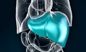 Есть ли между псориазом и больной печенью взаимосвязь? Узнайте больше