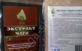 Чага от чего помогает
