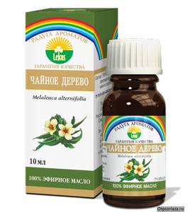 Чайное дерево от псориаза Эфирное масло чайного дерева