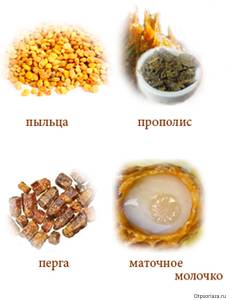 Пыльца, прополис, перга, матовое молочко Пчеловодческие продукты для мази от псориаза: пыльца, прополис, перга, молочко